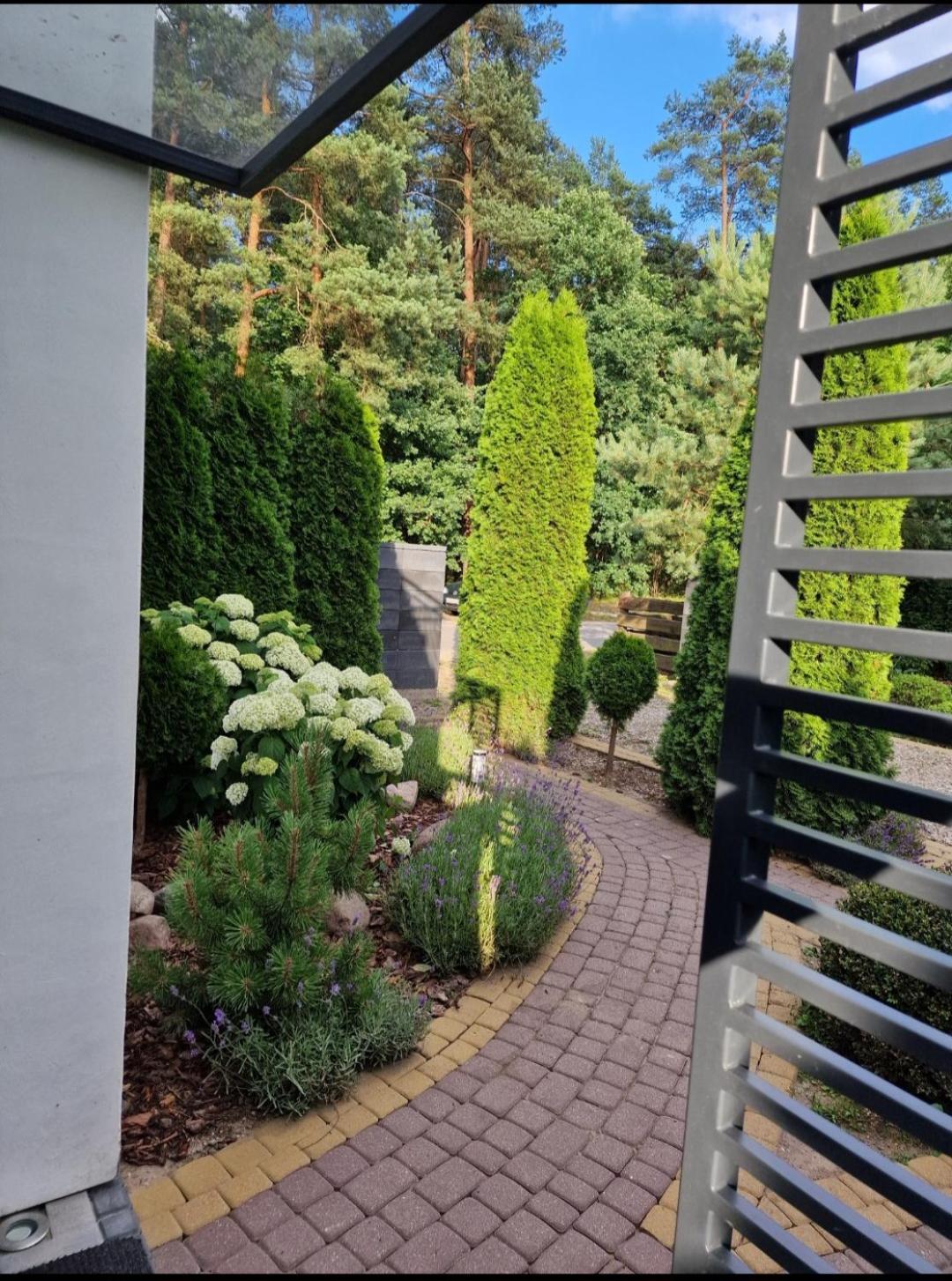 Apartamenty Pod Sosnami Ostroda Miedzylesie 6Os Oda fotoğraf